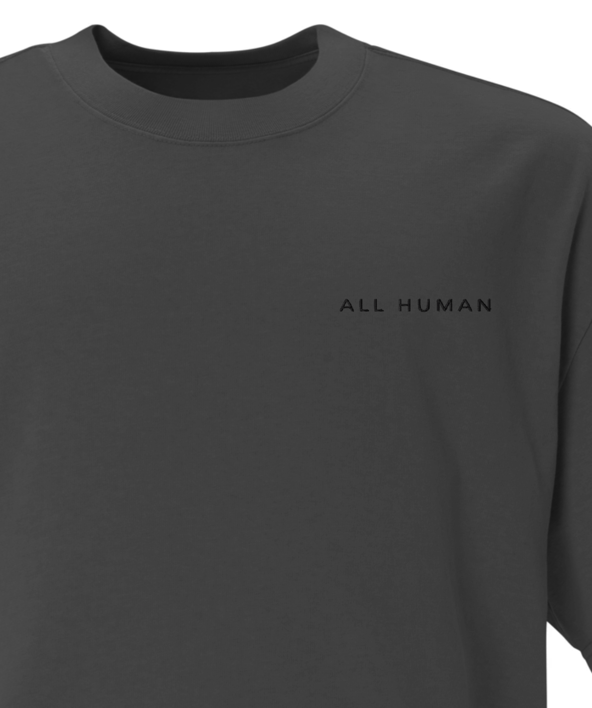 All Human Embroidered Oversized faded t-shirt