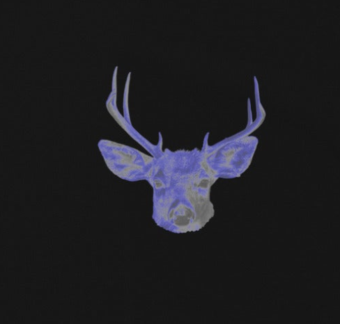 DEER graphic premium heavyweight tee